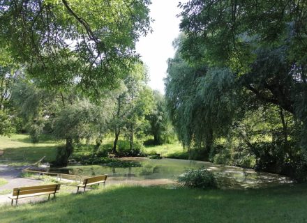 rybníček v Mozartove ulici