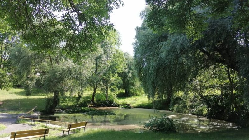 rybníček v Mozartove ulici